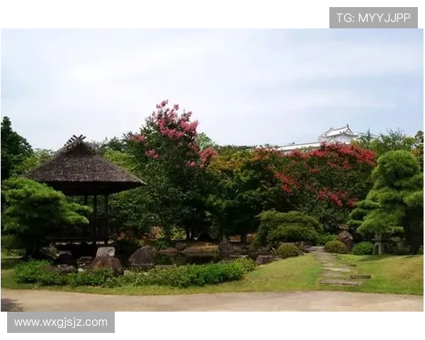 探索姚明山区的自然风光与人文魅力之旅